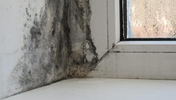 Only 1.47% of social homes in Tipp have been audited, say Tipperary Sinn F&eacute;in