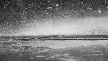 Survey finds Tipperary farmers are working longer hours due to prolonged wet weather