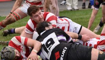 Nenagh Ormond's relegation from Division 1A confirmed despite close contest with Terenure College