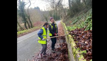 Volunteers gave this pondside in Tipperary a facelift after the winter