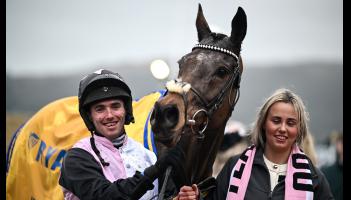 BREAKING: Tipperary owners Robcour return to the winner's enclosure at Cheltenham
