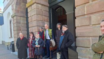 BREAKING: Coolmore company fined &euro;100,000 for illegal hedgerow removal on lands in Tipperary