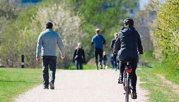 "Making a mountain out of a molehill"- councillor questions greenway process