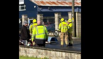 Plea made for ban on use of sulkies on public roads after horse fatality on Tipperary road