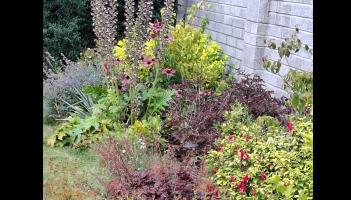 Garden club in Tipperary will welcome April with its monthly meeting