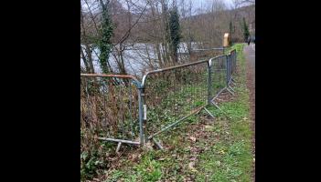 Barrier installed to protect nesting swans at lake in Tipperary
