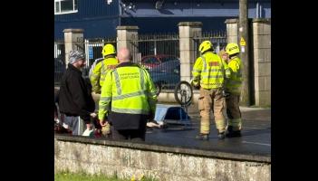 Tipperary TD calls for a national framework governing the use of horse-drawn vehicles