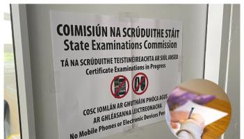 Teachers fear students using AI could dupe Leaving Cert continuous assessments