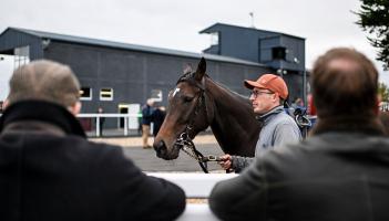 Thurles racecourse to continue operating for at least another year