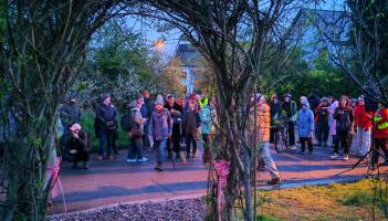 Ecovillage lighting launch. Photo: Darren Flynn