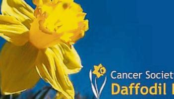 Reflective event will help raise funds for Tippeary cancer care support