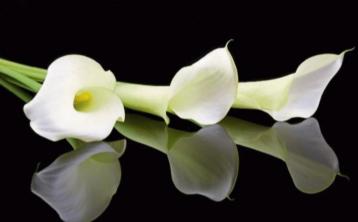 RIP: Tipperary deaths and funeral details, November 28