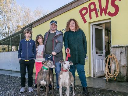 dog rescue tipperary