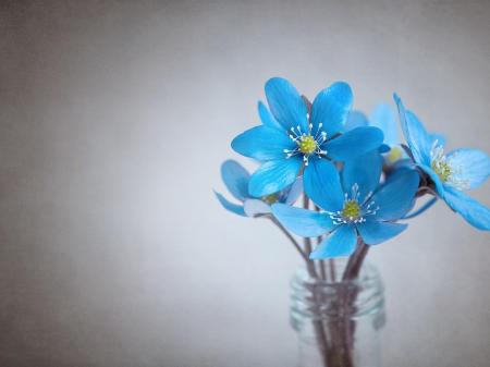 Self care fundraiser announced for women in Tipperary for local charity