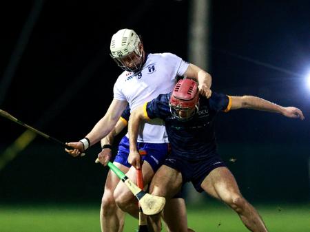 Tipperary hurlers to the fore as Mary Immaculate College qualify for Fitzgibbon Cup final