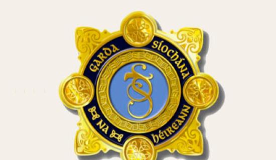 Councillor condemns Government for failing to properly resource Garda&iacute; in south Tipperary