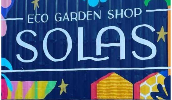 Fun-filled summer at SOLAS: Plant swap and milkshakes