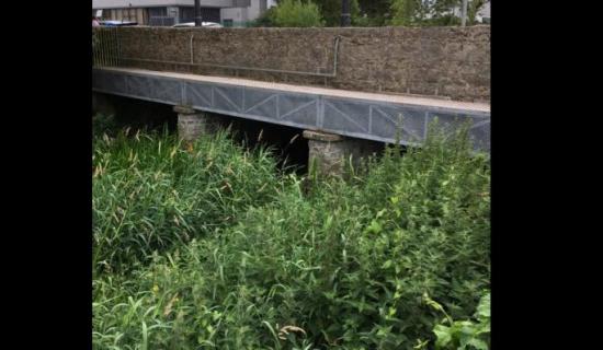 Concerns raised again about 'deplorable' state of previously polluted river in Tipperary