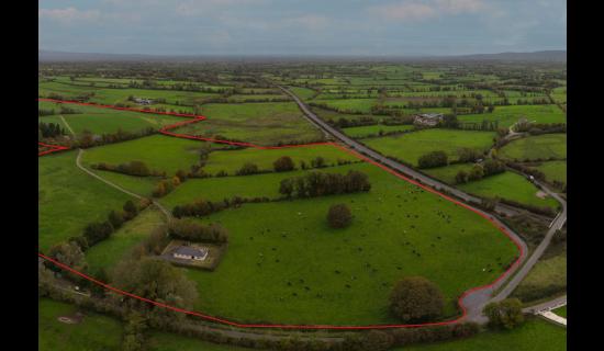 &euro;1.1 Million 64-acre Golden Vale farm now for sale in south Tipperary