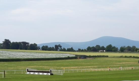 Seven-race card at Clonmel Racecourse includes the feature event of the year