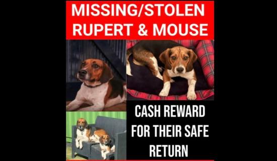 Tipperary Tipperary Tipperary 