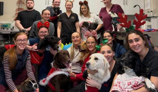 Tipperary Tipperary Tipperary 