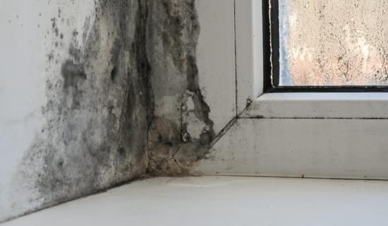 Only 1.47% of social homes in Tipp have been audited, say Tipperary Sinn F&eacute;in