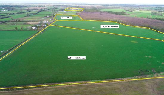 Prime 52 acre agricultural holding in Tipperary comes to market in four separate lots sale