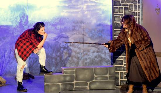 REVIEW: Tipperary drama group's production of By the Bog of Cats was 'outstanding' theatre