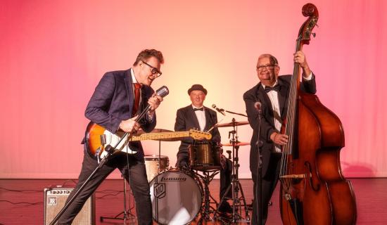 Tribute to rock and roll legend coming to Tipperary arts centre this month