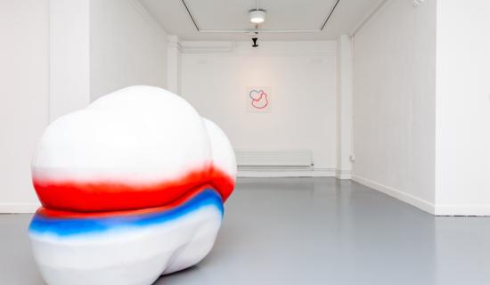 Migrating from Australia to rural Tipperary is behind the story of a new art exhibition