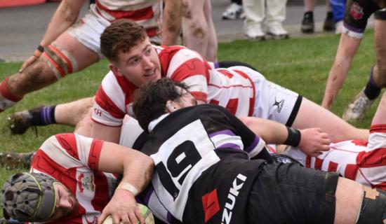 Nenagh Ormond's relegation from Division 1A confirmed despite close contest with Terenure College