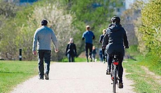 "Making a mountain out of a molehill"- councillor questions greenway process