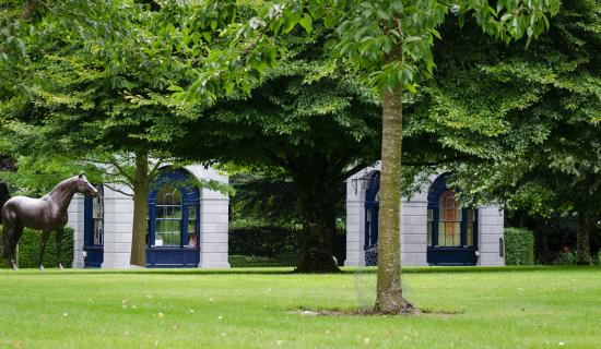 Coolmore Stud Farm applies for planning permission from the County Council