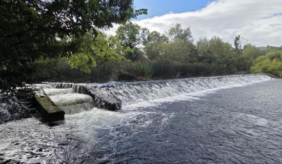 Debate emerges over plan to partially remove historic weir in Tipperary river