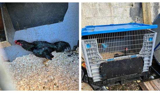 Images courtesy of An Garda S&iacute;och&aacute;na Tipperary