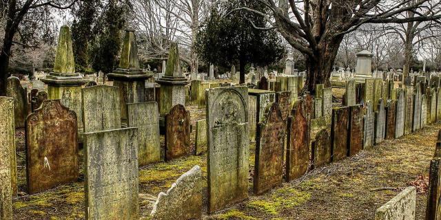 NEWS: Solohead will likely know the location of its new graveyard by the end of the year