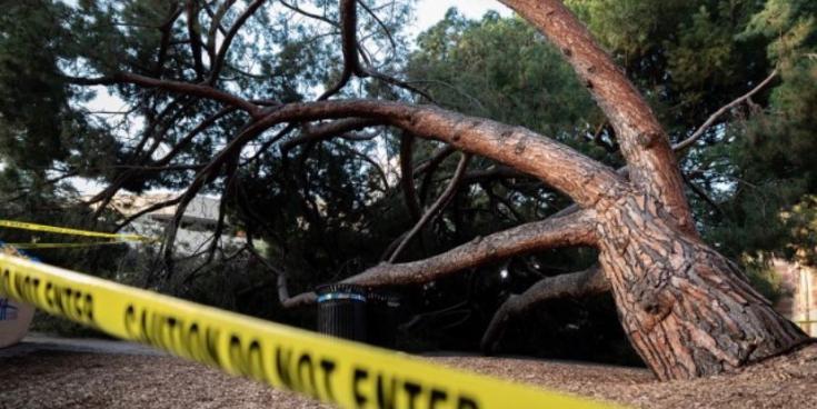 OPINION: Ireland needs to storm-proof its future to prepare for future storms