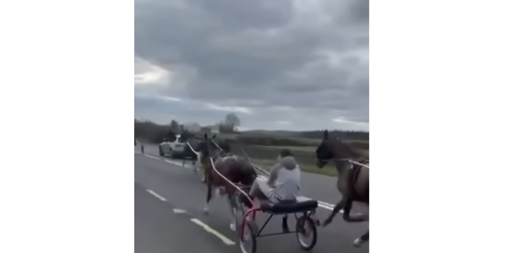 'The intimidation that was done to that man' - Tipperary sulky racing row rumbles on