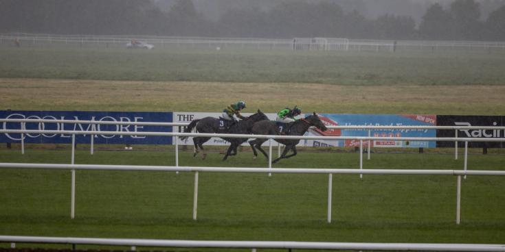 Alternative temporary venues announced for Tipperary horse racing fixtures