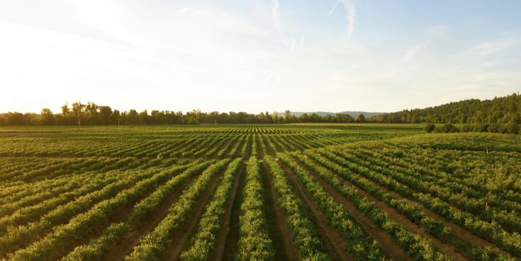 Over &euro;129m issued across Tipperary in 2025 by the Department of Agriculture, Food and the Marine