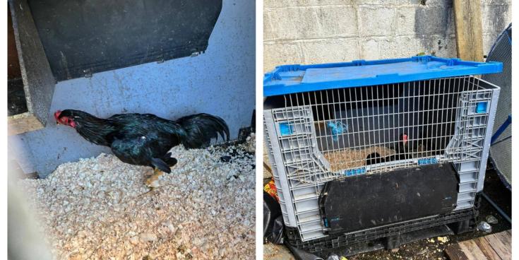 Images courtesy of An Garda S&iacute;och&aacute;na Tipperary