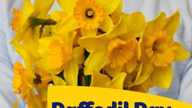 REVEALED: Two groups in Tipperary are gearing up for Daffodil Day 2026