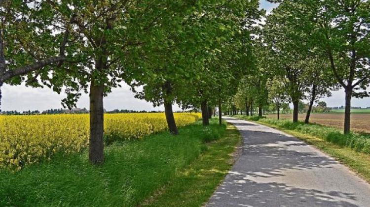 Boost for Tipperary as walk ways set for upgrades to accommodate disabilities