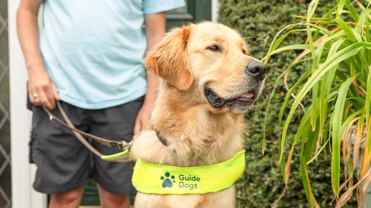 Irish Guide Dogs will reopen the waiting list for its Assistance Dog Programme