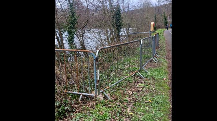 Barrier installed to protect nesting swans at lake in Tipperary
