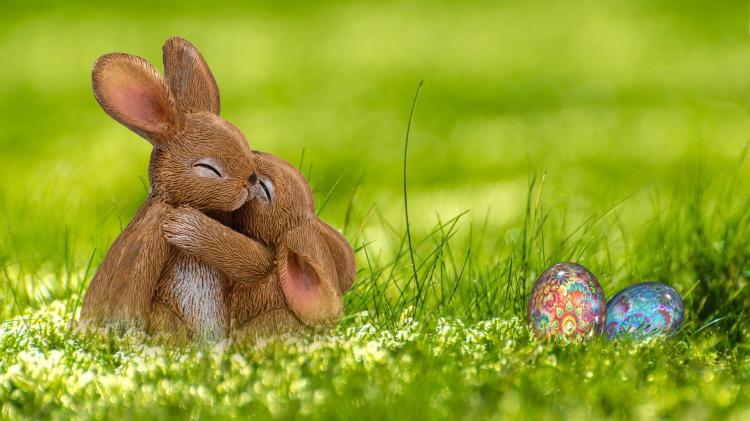 Free family event taking place in Tipperary perfect to bring the kids to during Easter