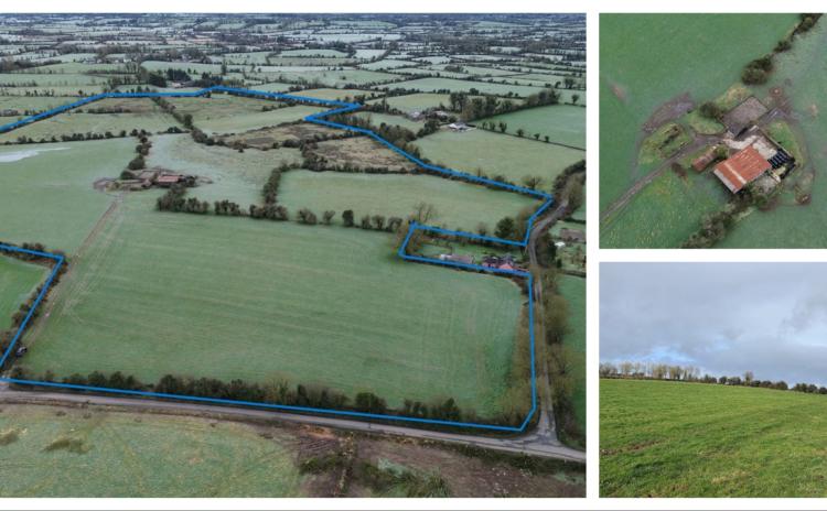 Prime 56-Acre road side holding in Tipperary set to go under the hammer later this month