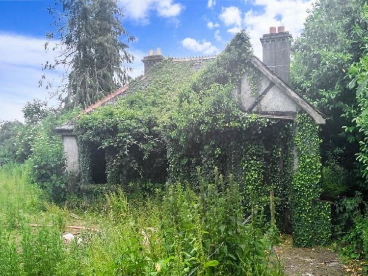Derelict Tipperary cottage up for sale in worldwide online auction for a mere €50,000 Derelict Tipperary cottage up for sale in worldwide online auction for a mere €50,000