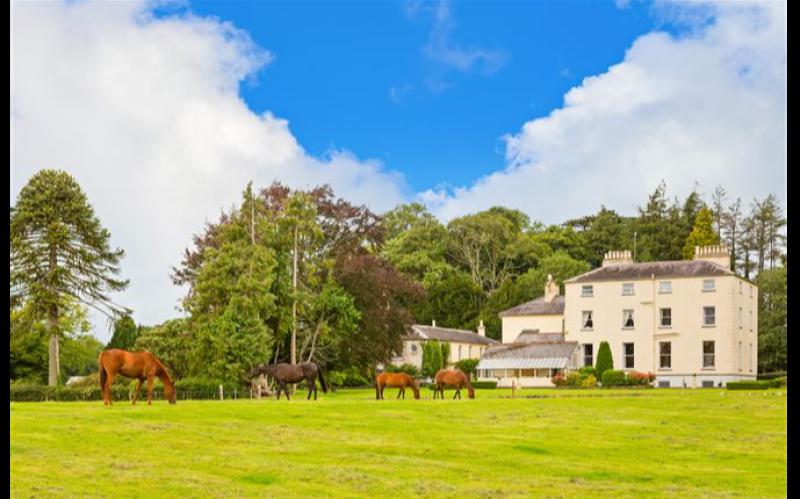 Tipperary's version of Downton Abbey goes on sale for huge €3 million  